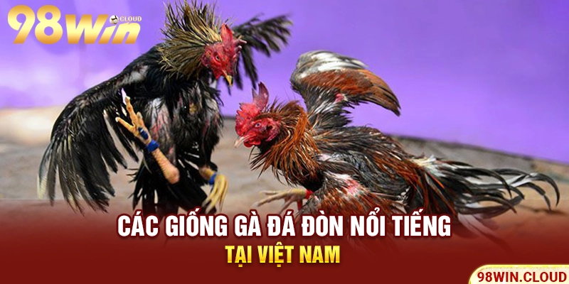 Các giống gà đá đòn nổi tiếng tại Việt Nam